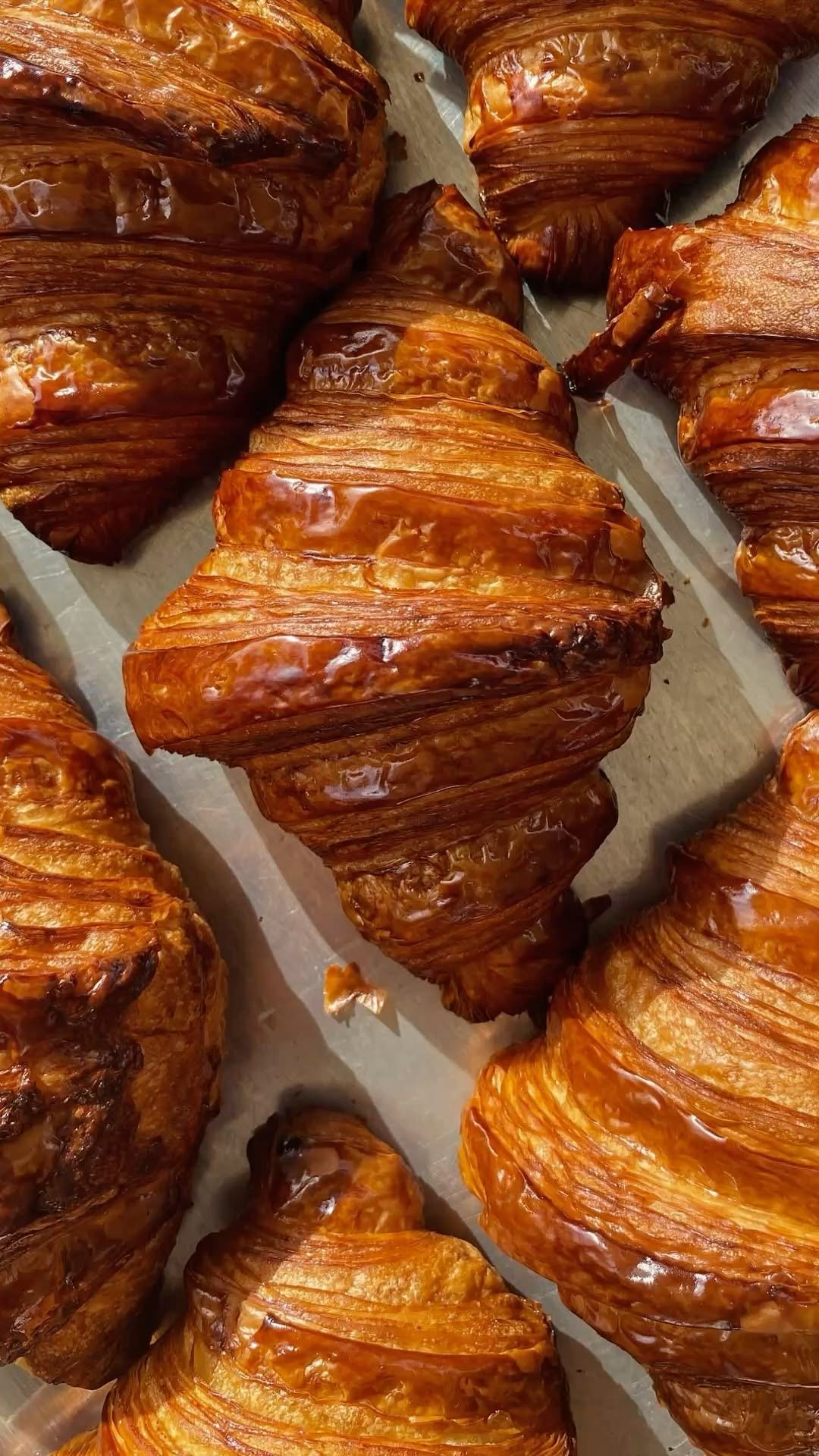 Plain croissants